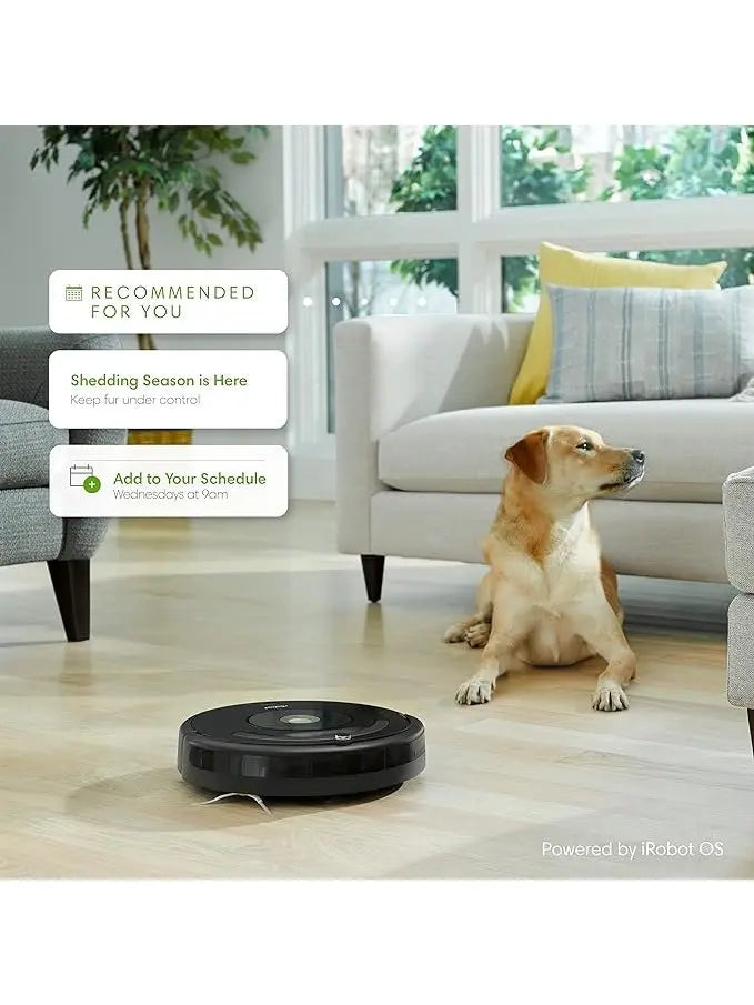 iRobot Roomba 671020 Robot Vacuum with Wi-Fi Connectivity, Works with Alexa, Good for Pet Hair, Carpets, and Hard Floors